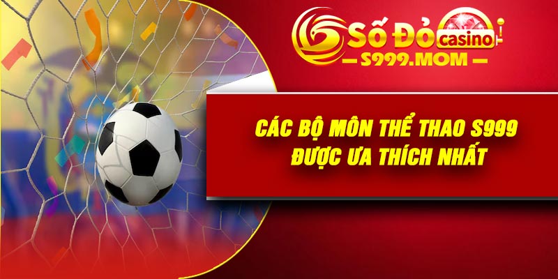 Các bộ môn thể thao s999 được ưa thích nhất
