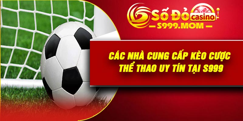 Các nhà cung cấp kèo cược thể thao uy tín tại s999