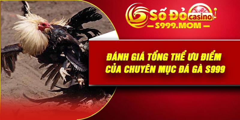 Đánh giá tổng thể ưu điểm của chuyên mục đá gà S999