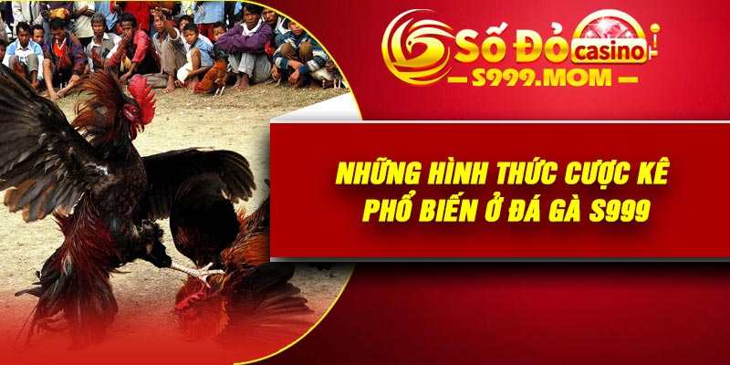 Những hình thức cược kê phổ biến ở đá gà S999