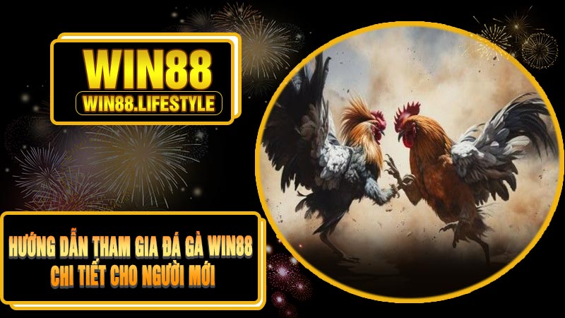 Hướng Dẫn Tham Gia Đá Gà Win88 Chi Tiết Cho Người Mới