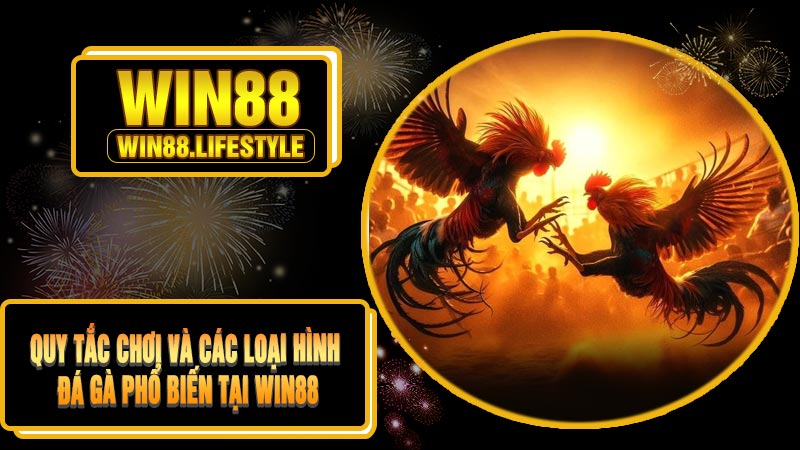 Quy Tắc Chơi Và Các Loại Hình Đá Gà Phổ Biến Tại Win88