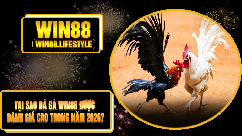 Tại Sao Đá Gà Win88 Được Đánh Giá Cao Trong Năm 2026?